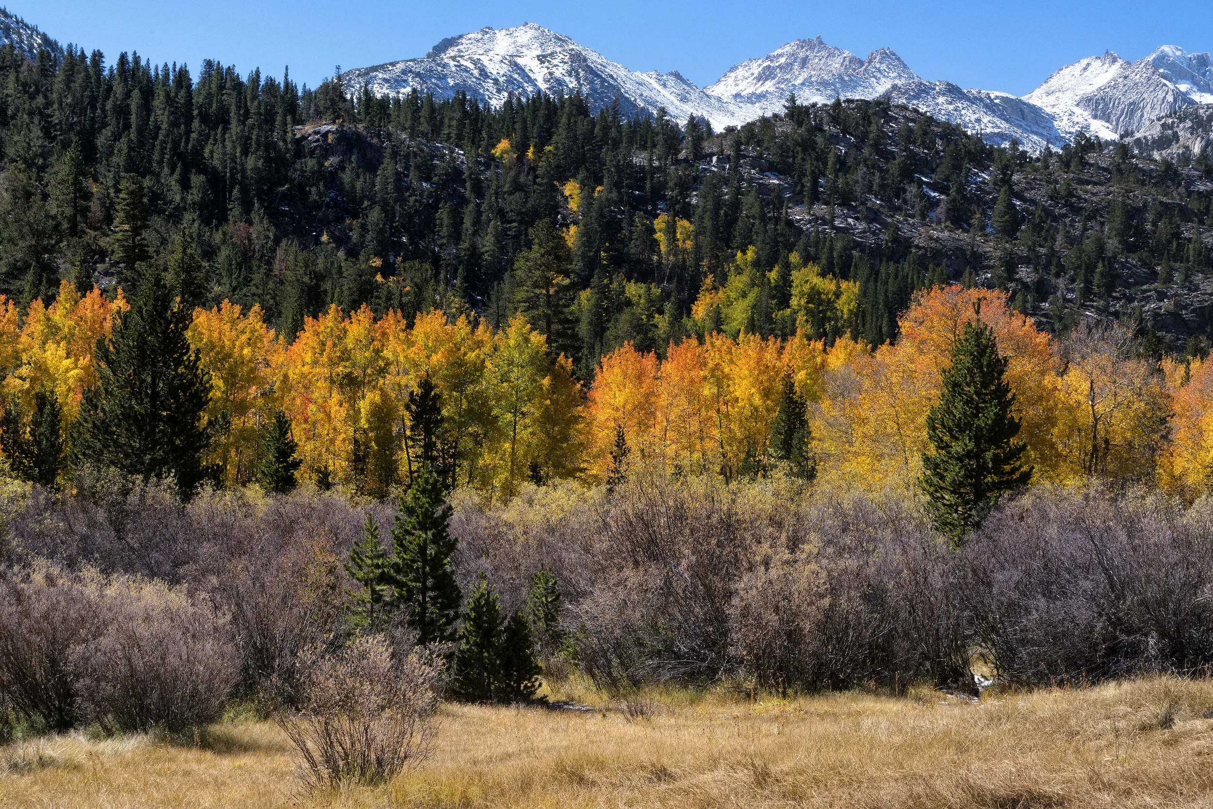Sierra Nevada Mountains California