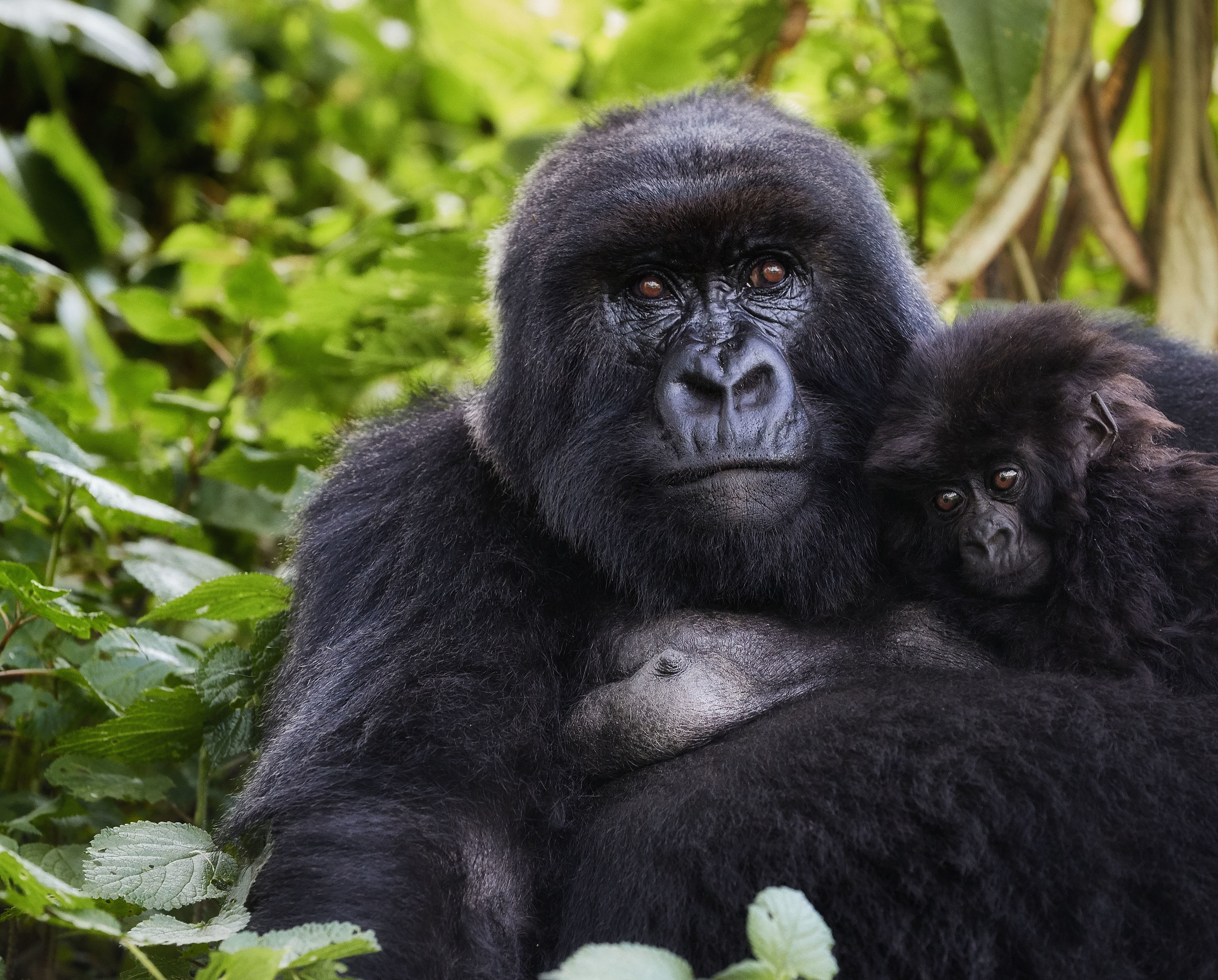 Mother and Child Rwanda