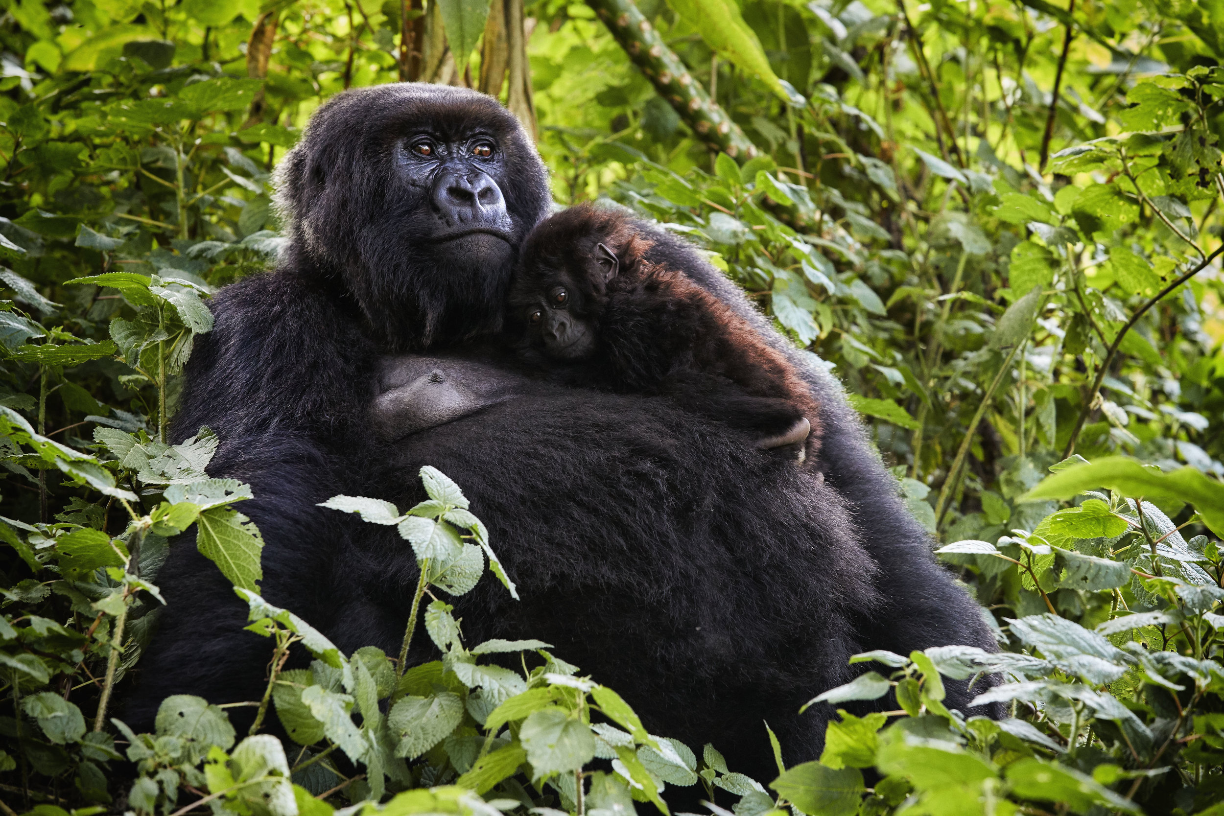 Mother and Child Rwanda