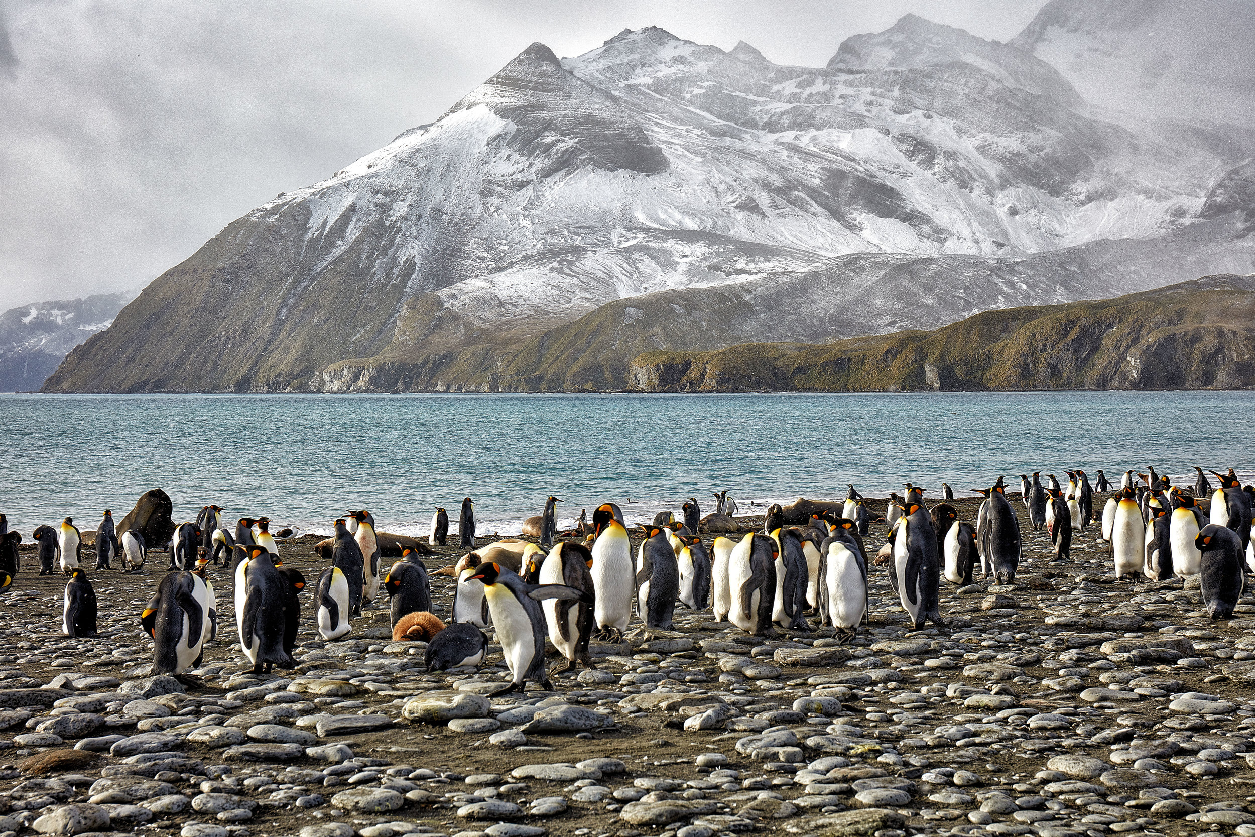 South Georgia Island