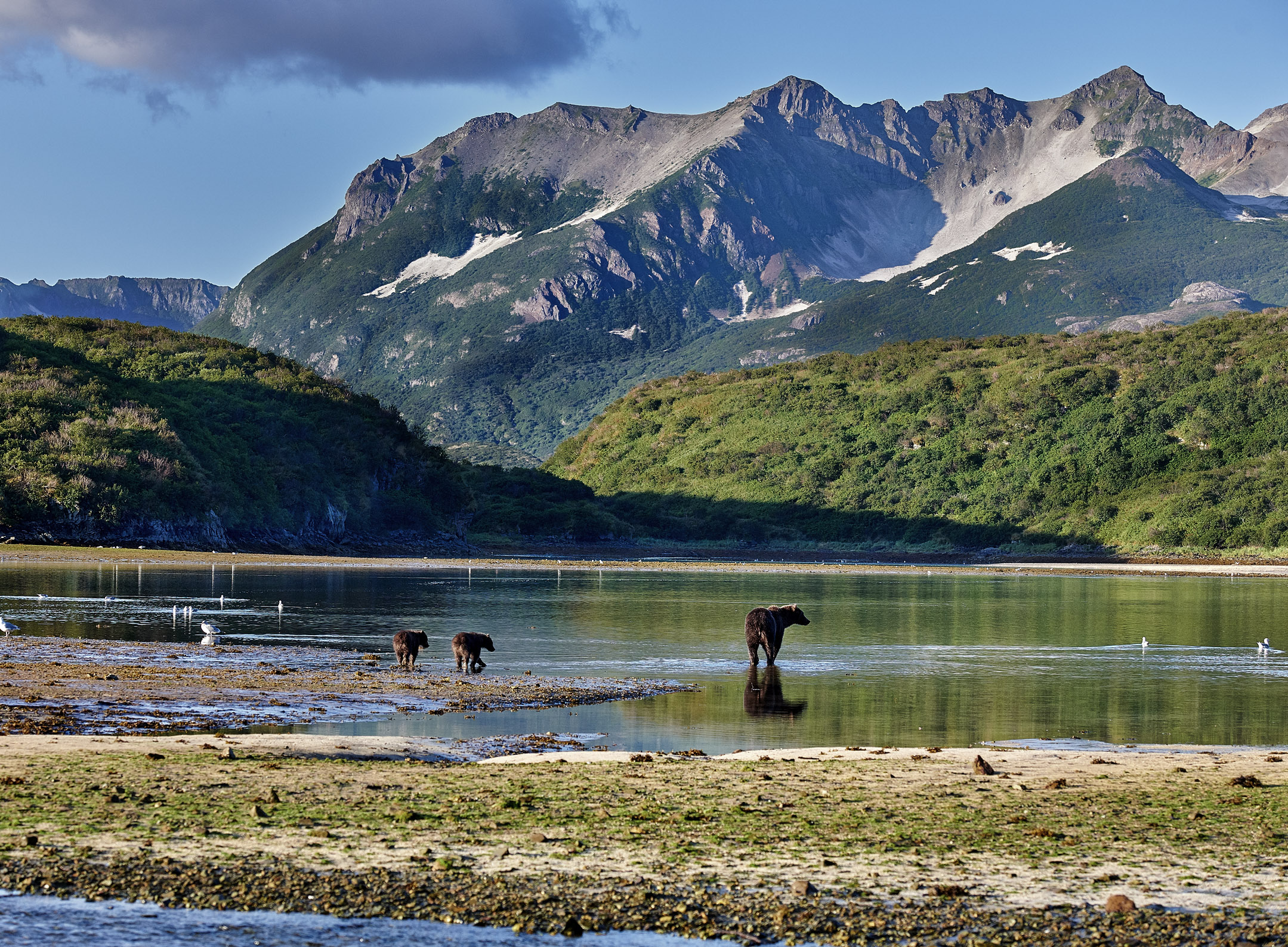 Katmai National Park Alaska