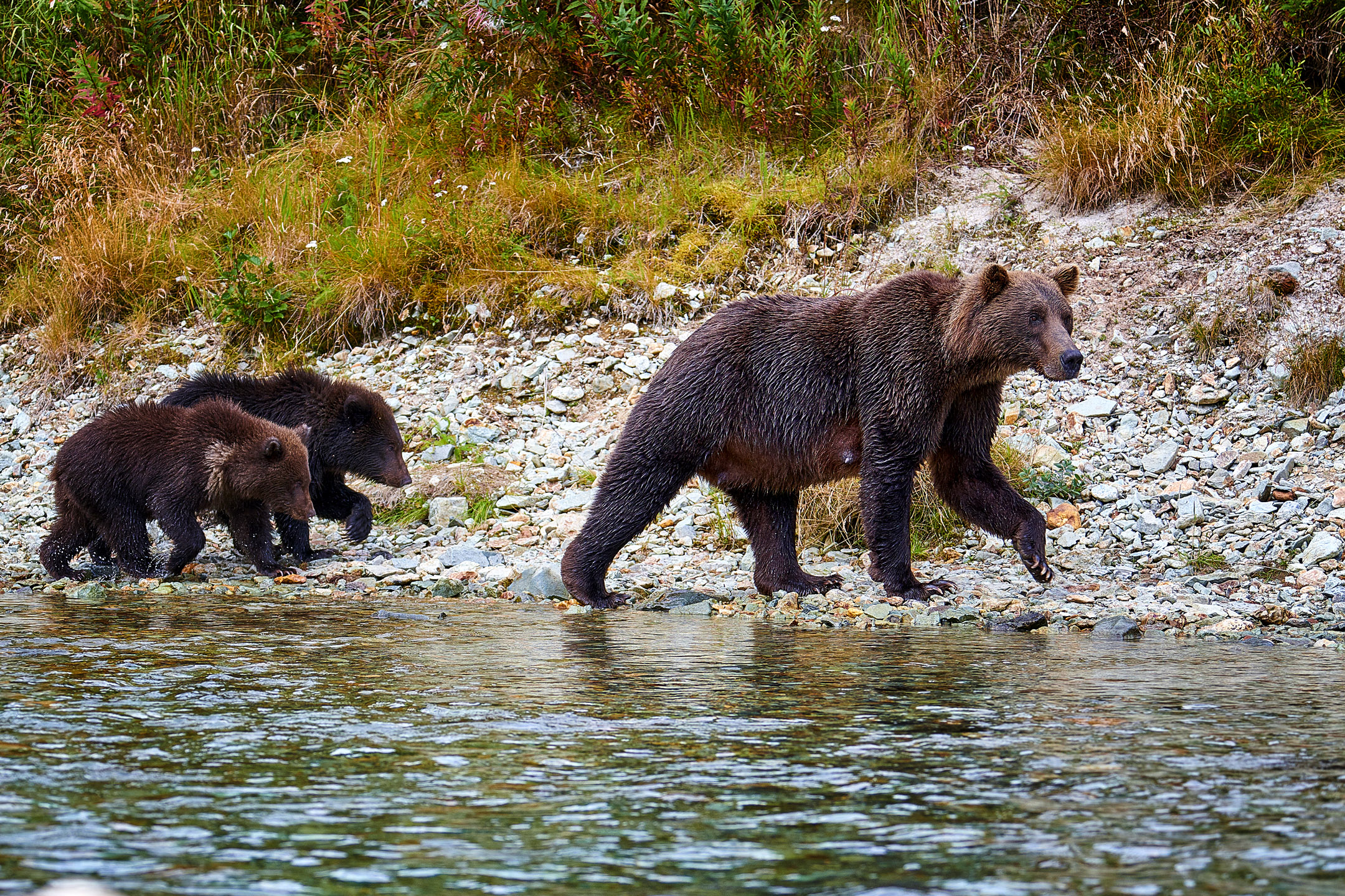 Katmai National Park Alaska