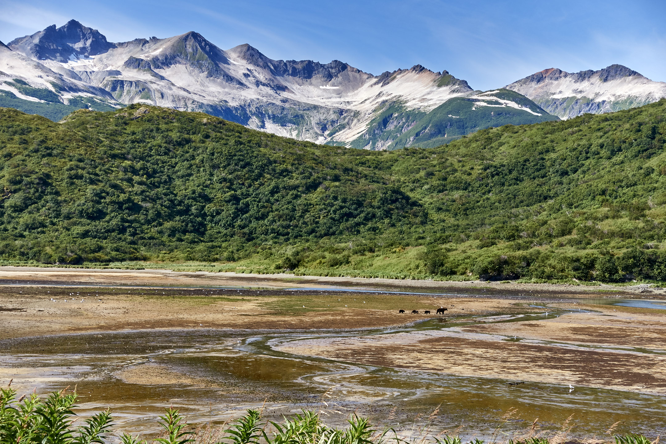 Katmai National Park Alaska