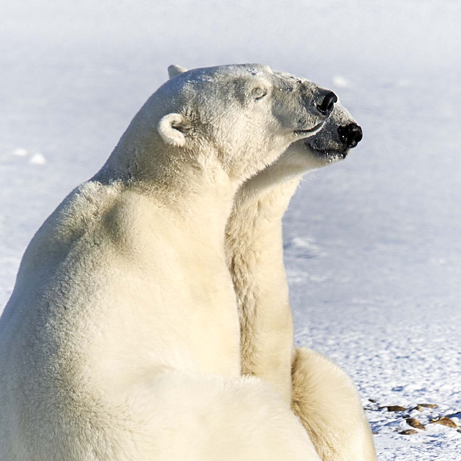 Togetherness Churchill Canada