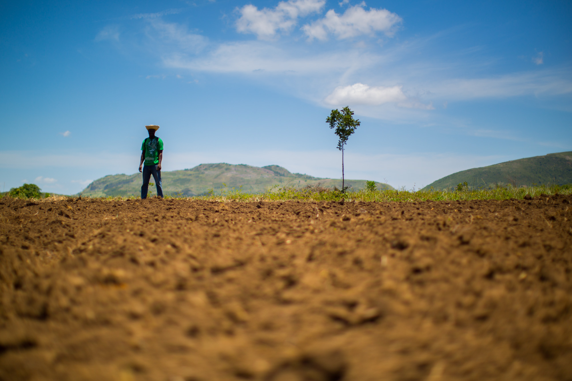 SMALLHOLDER FARMERS