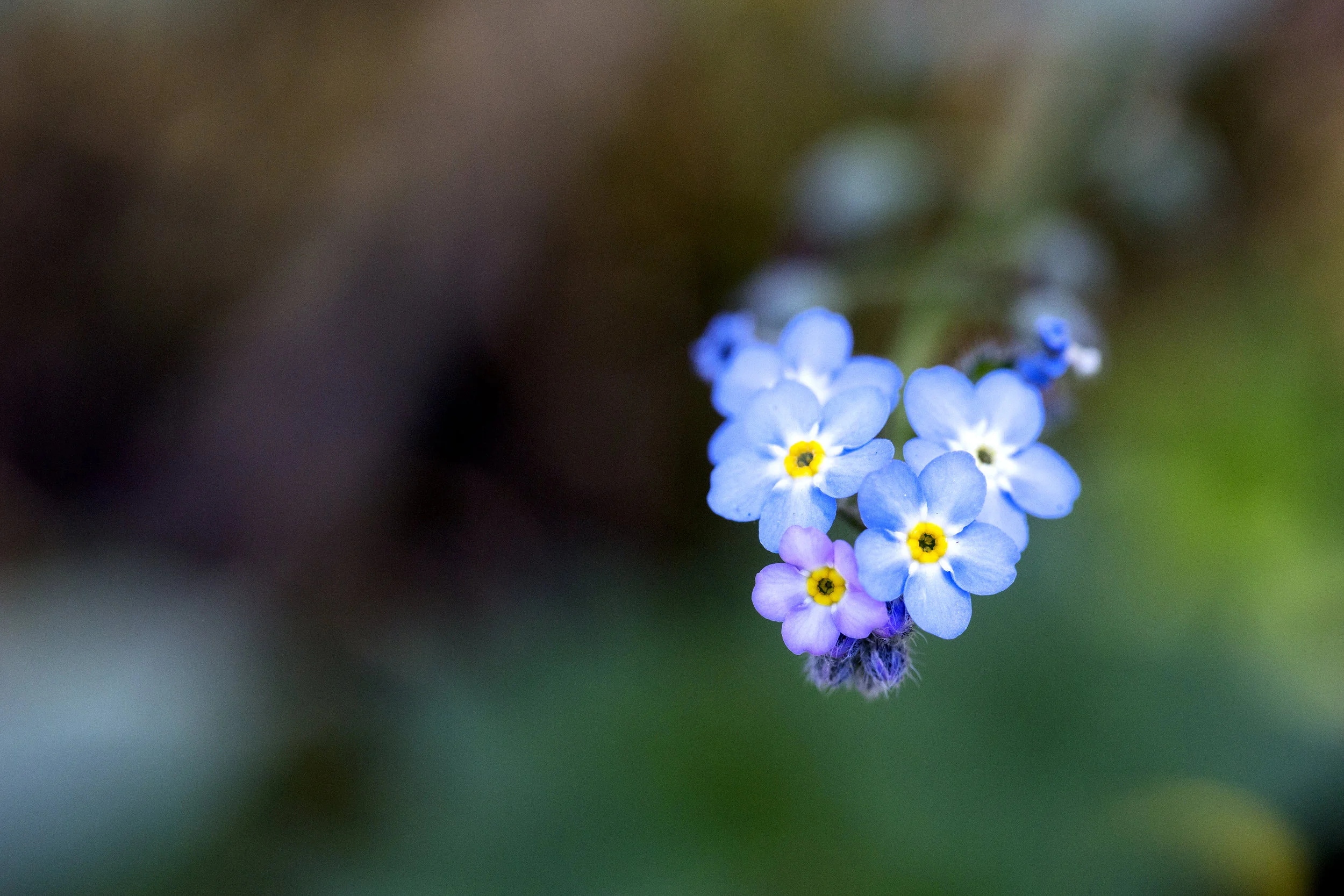 ©Estee Cha Photography
