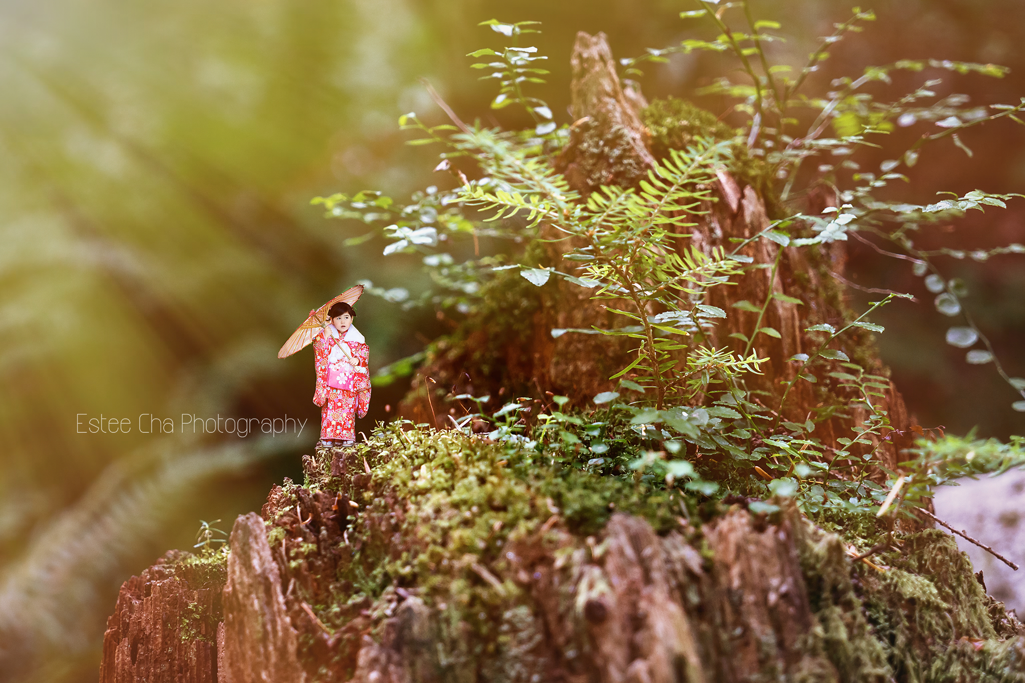 ©Estee Cha Photography