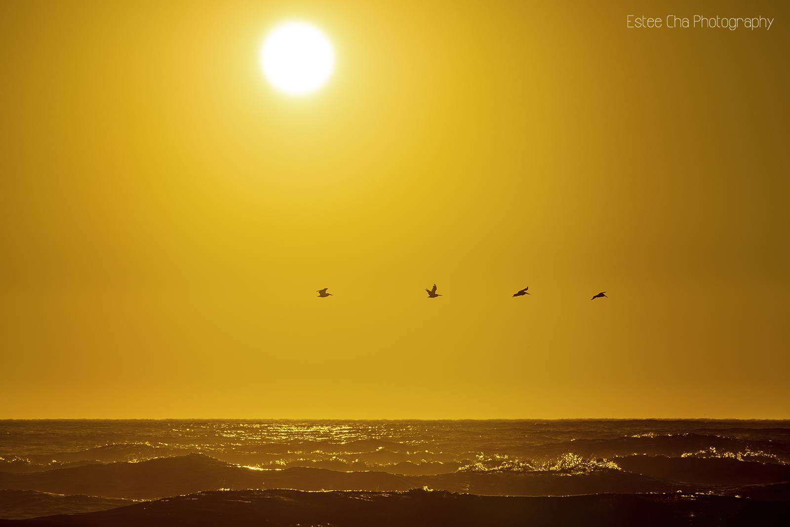 ©Estee Cha Photography