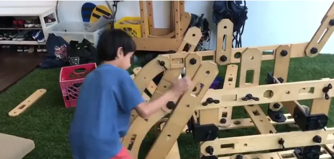 The Making of a Mad Scientist