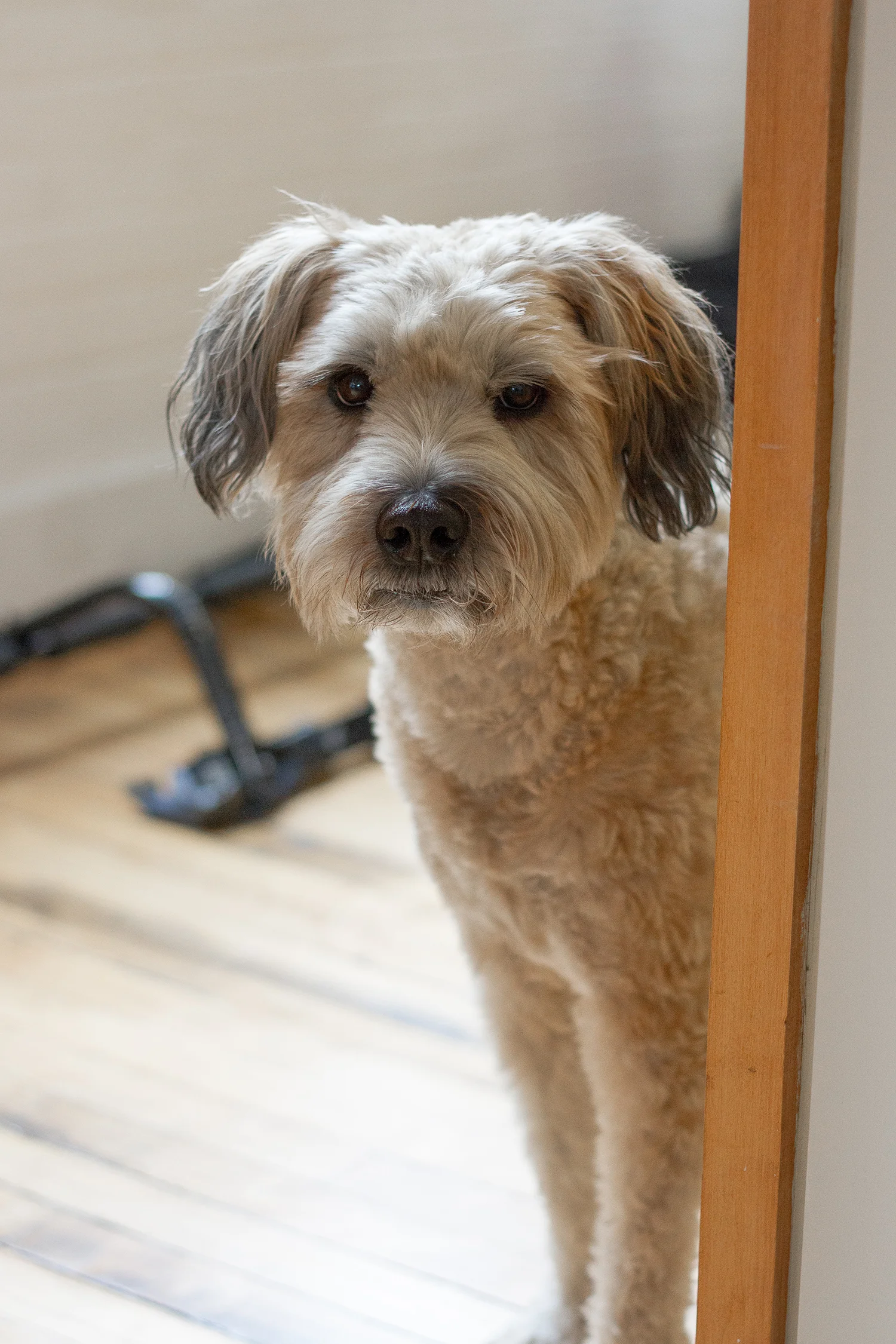 askuity_headshots (16 of 34).jpg