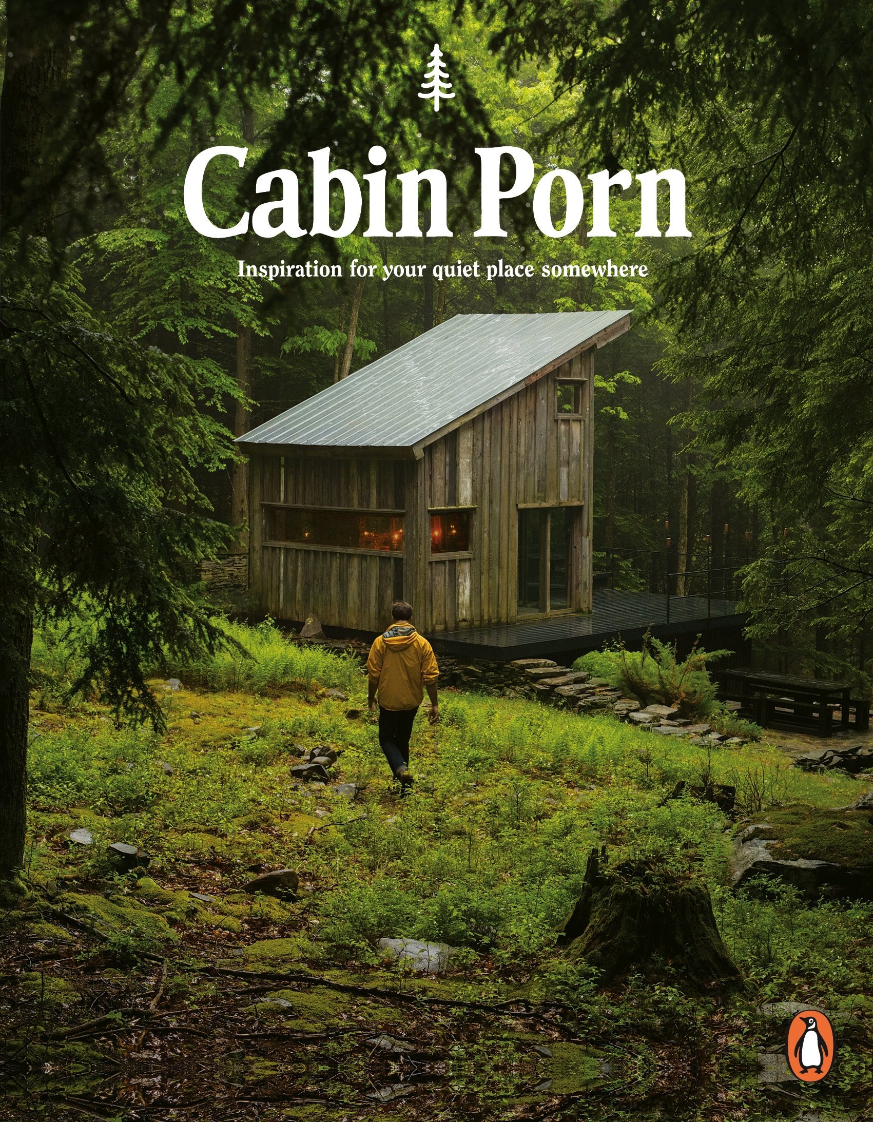 Paperback (UK edition)