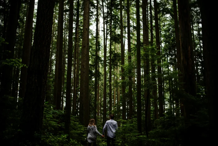 Justine-B-Photography-Vancouver-wedding-Photography-51.jpg