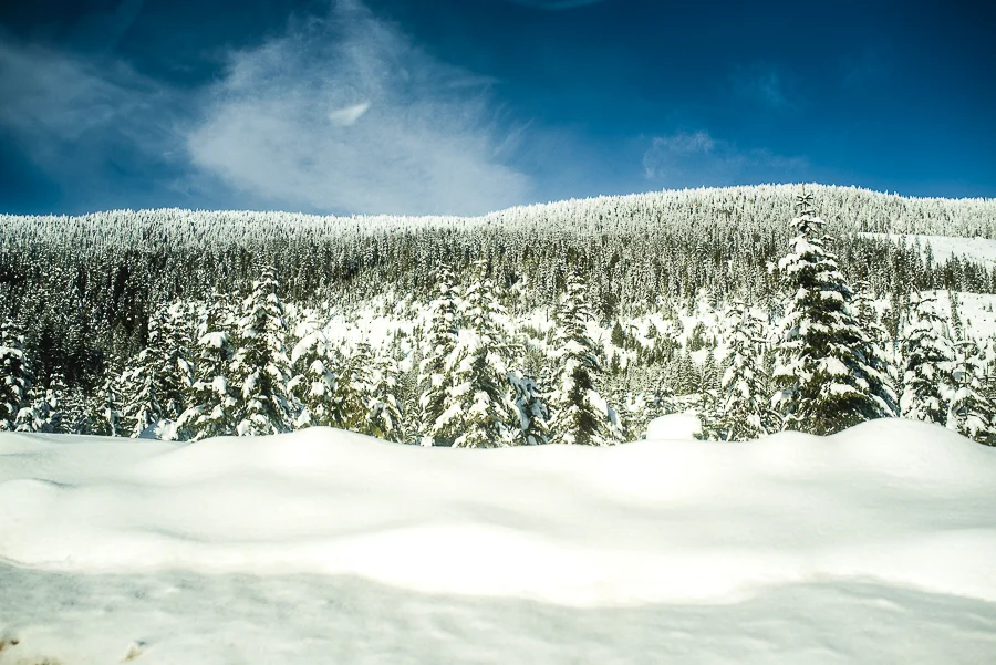mount washington-12.jpg