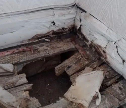 Floor, dry rot damage.jpg