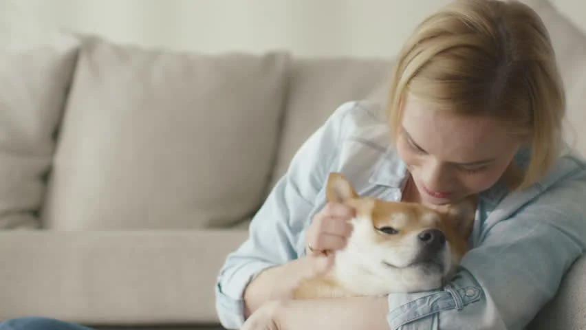 pet with woman.jpg