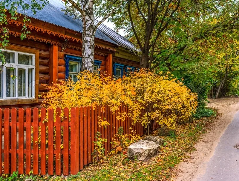 house with shrubs.jpg