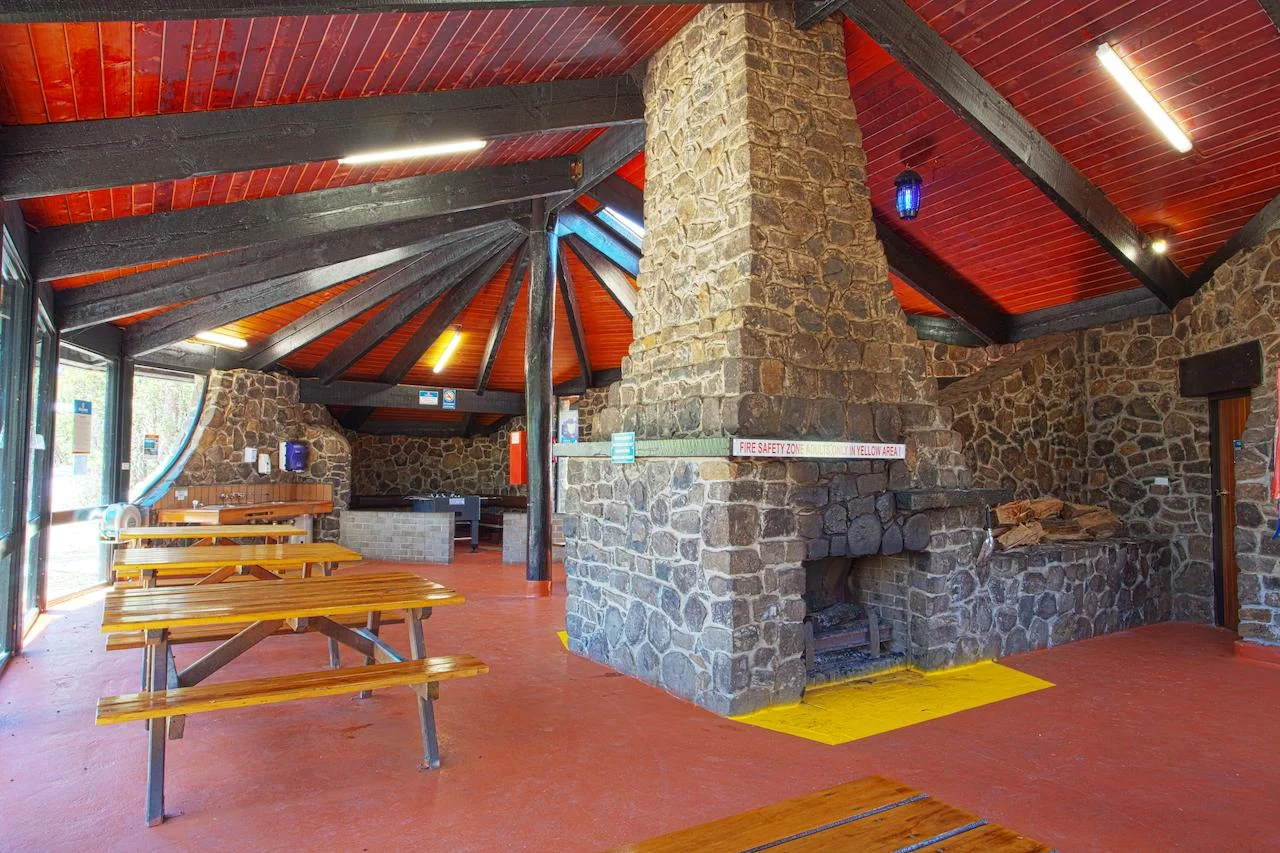 Disco park.jpg