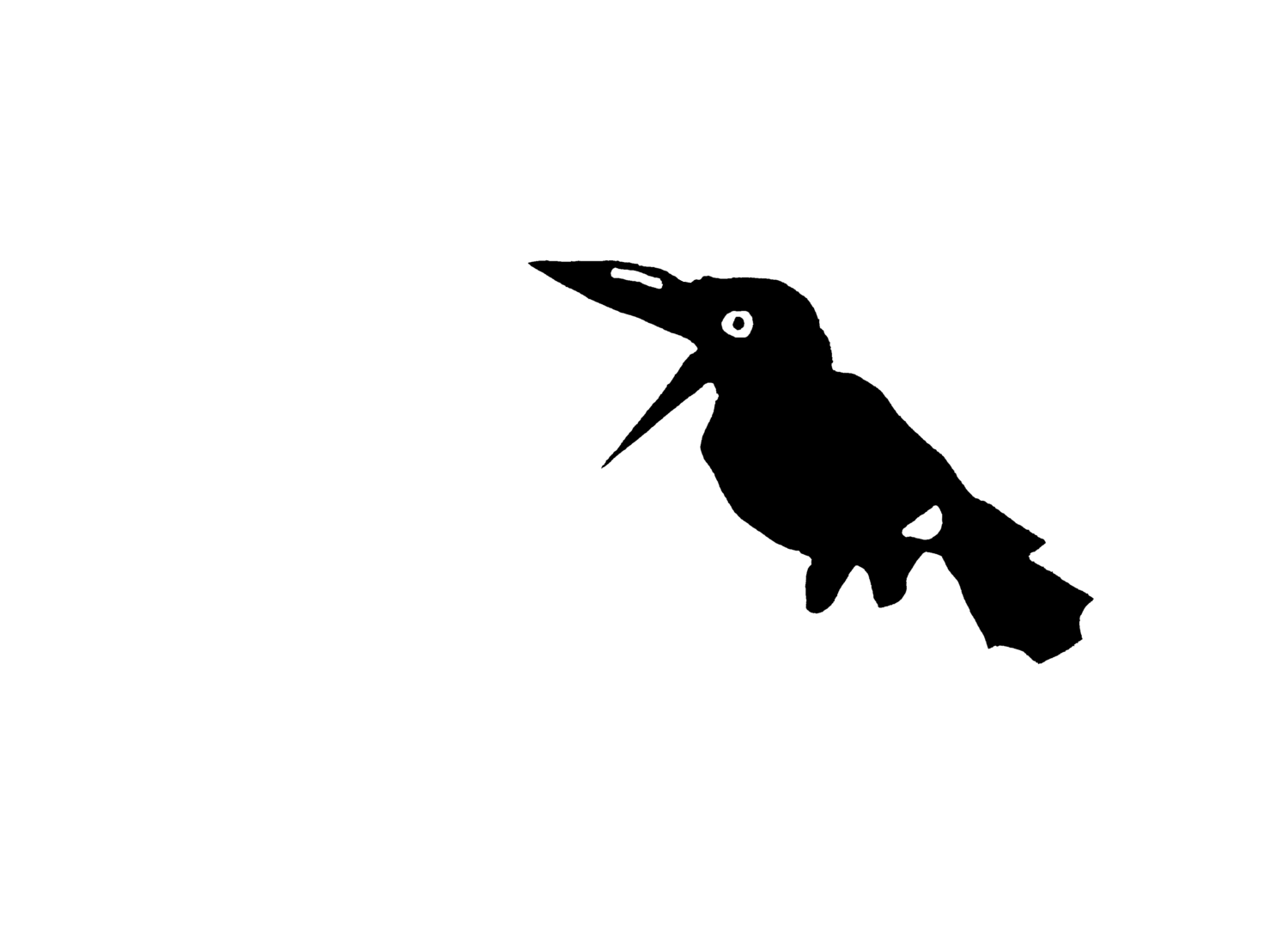 Cradle Mountain Film Festival