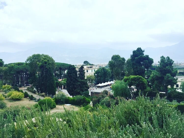 Landscape
