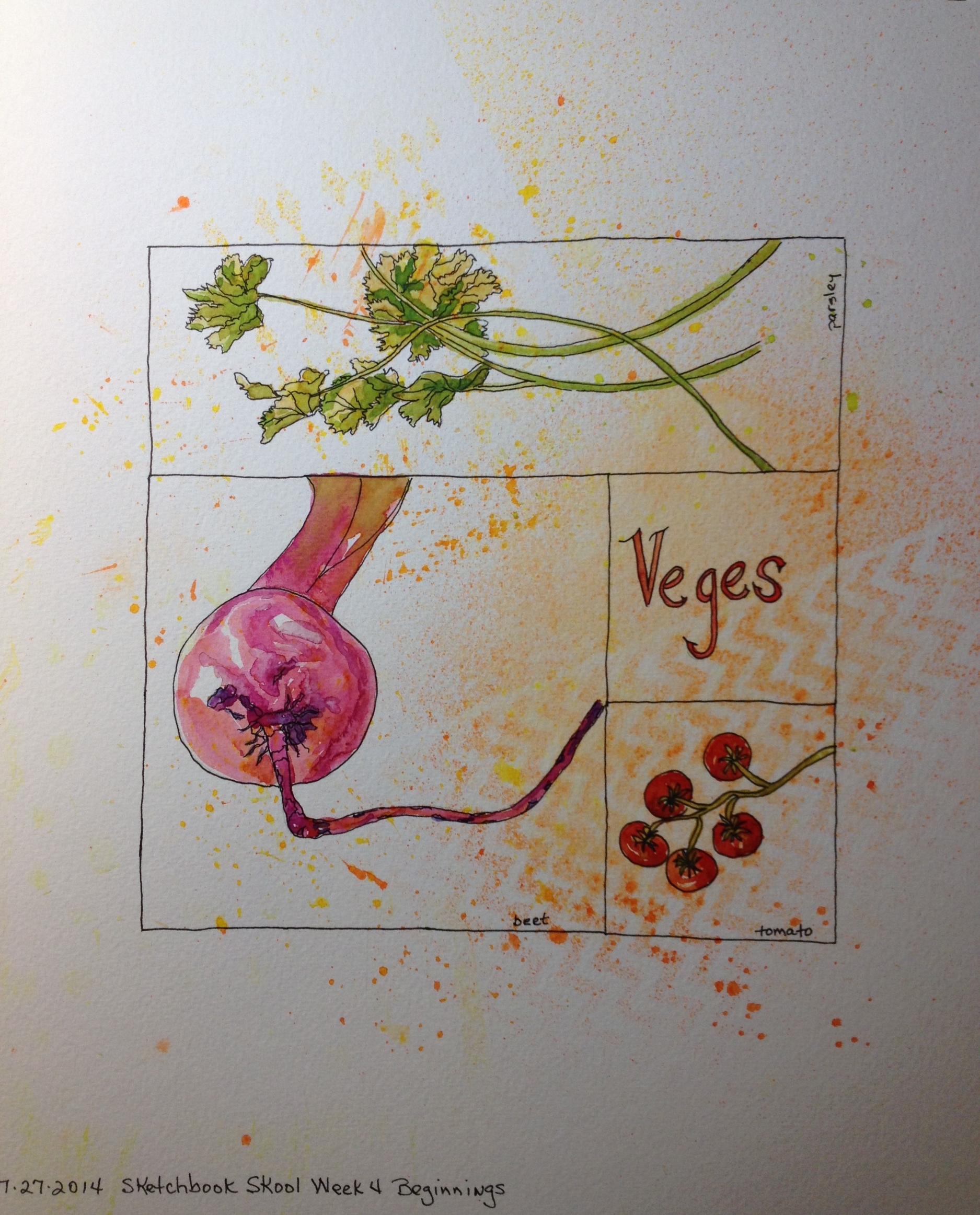 Sampler watercolor 9 square