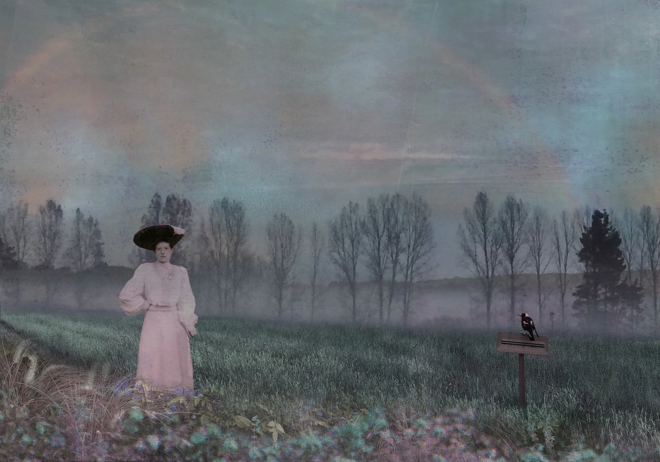 collage-field-ladyandbirdv2.jpg