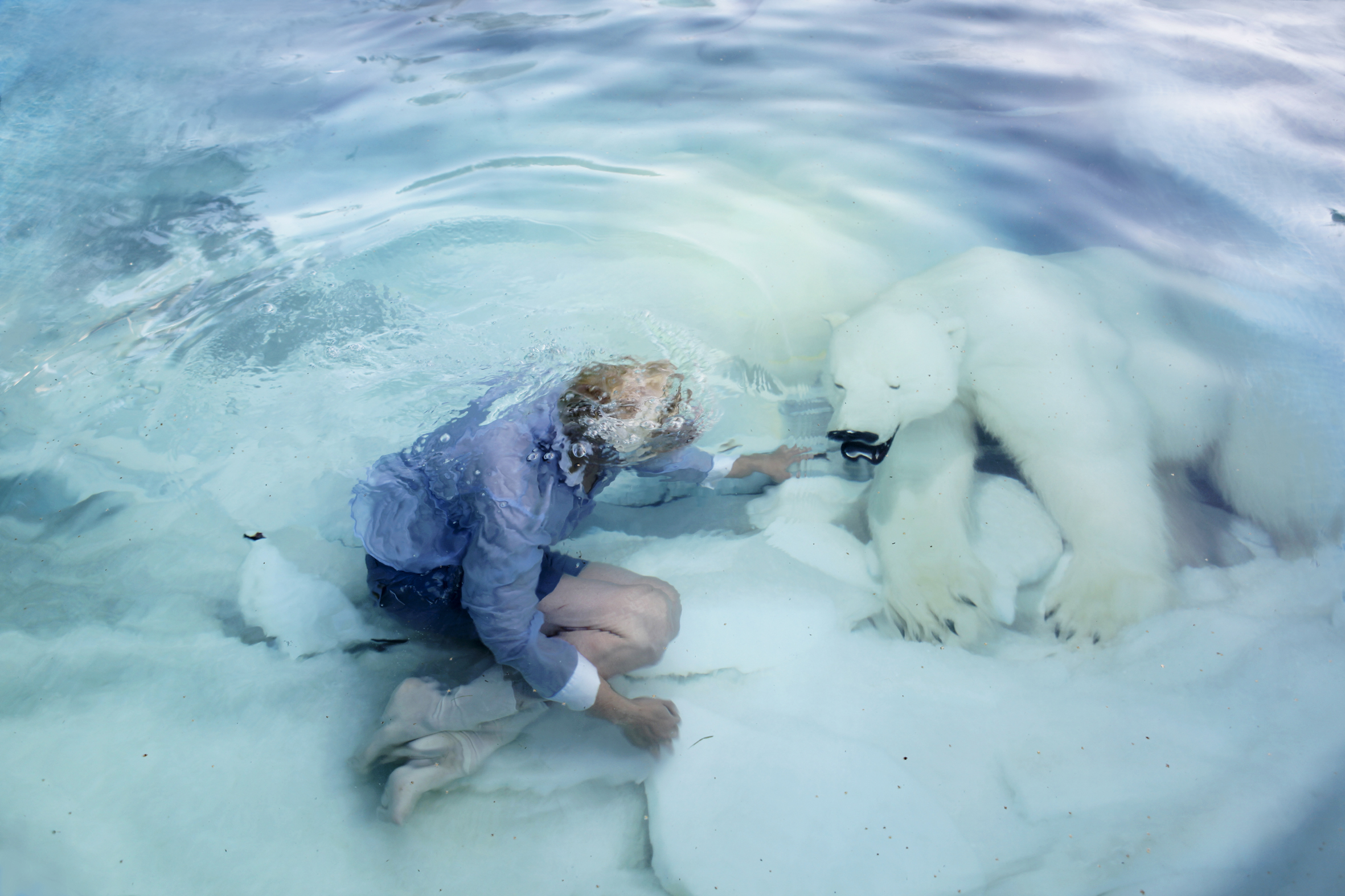 Polarbear