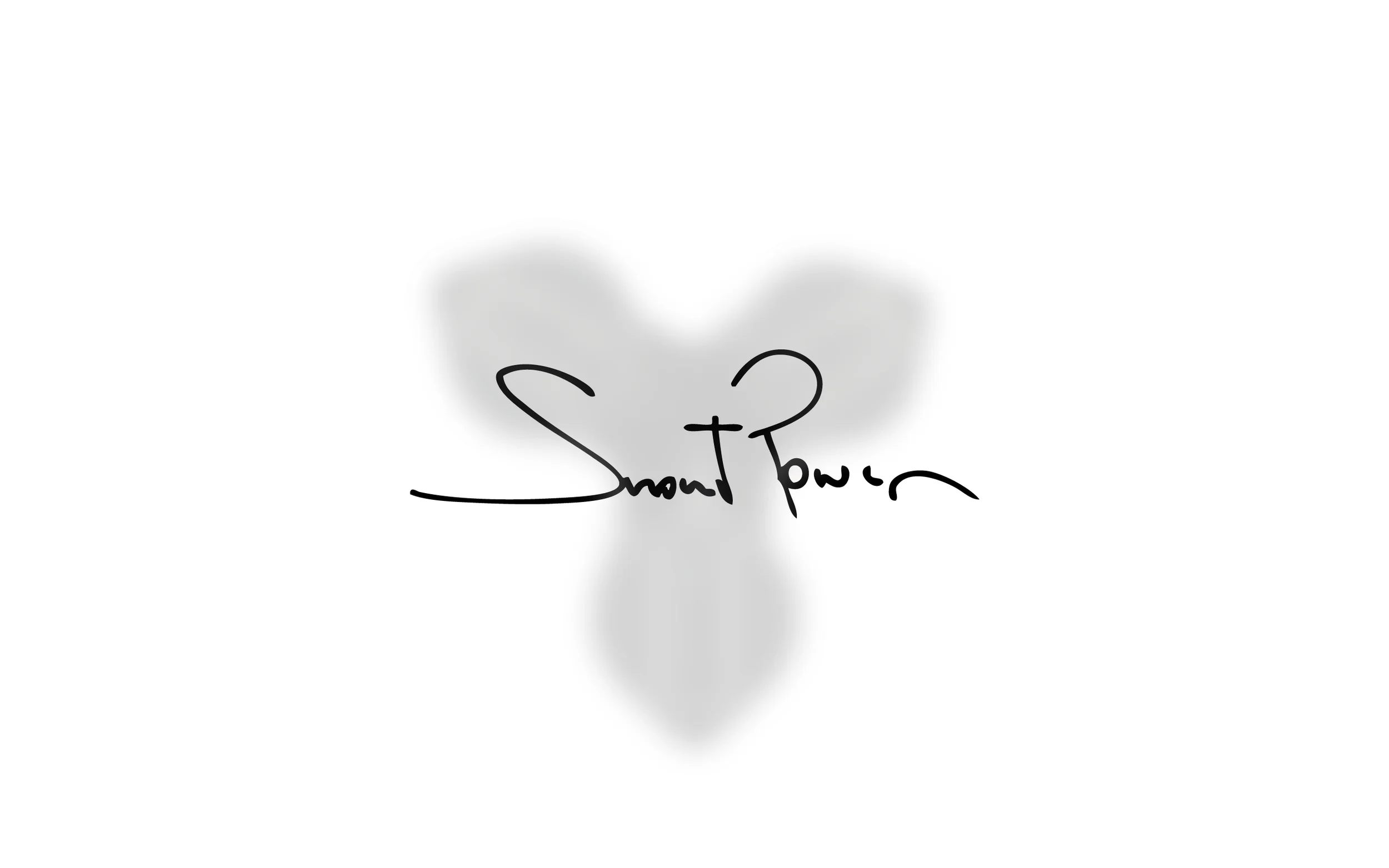 SP2-SmartPower10.jpg