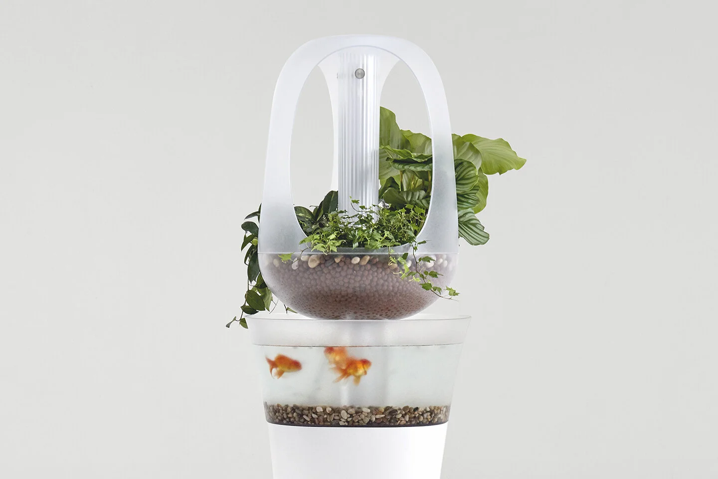 Francois Hurtaud Design Eva Aquaponics Industrial Design.jpg
