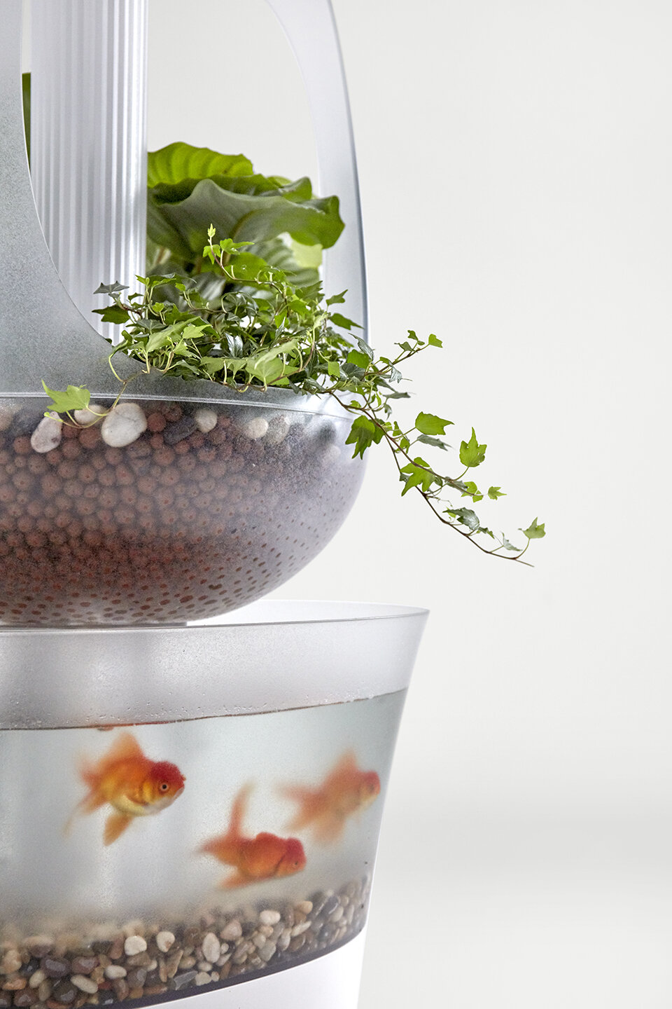 EVA - Aquaponics System  designed by Francois Hurtaud Design, self efficient bio culture