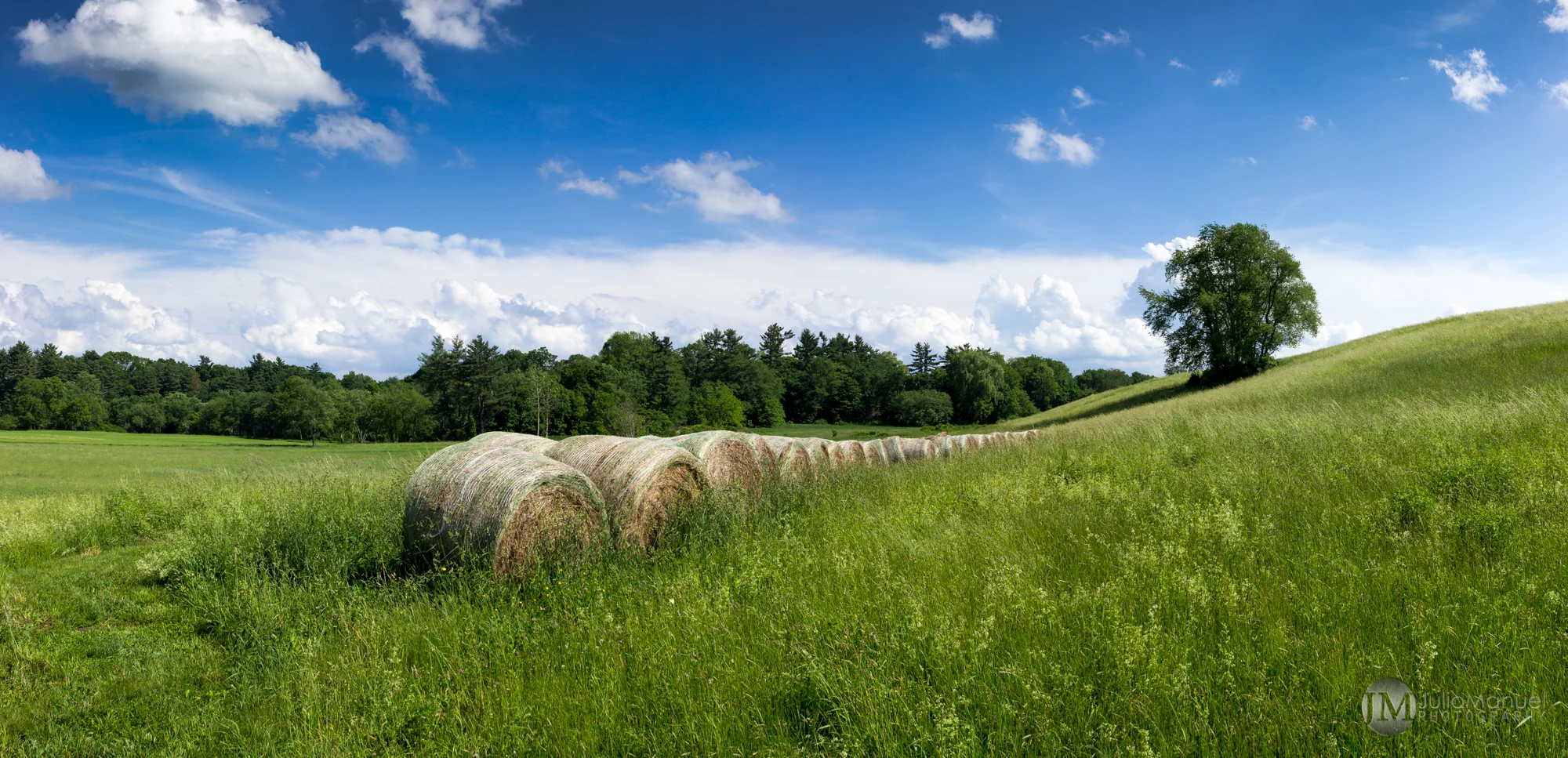 landscape-1.jpg