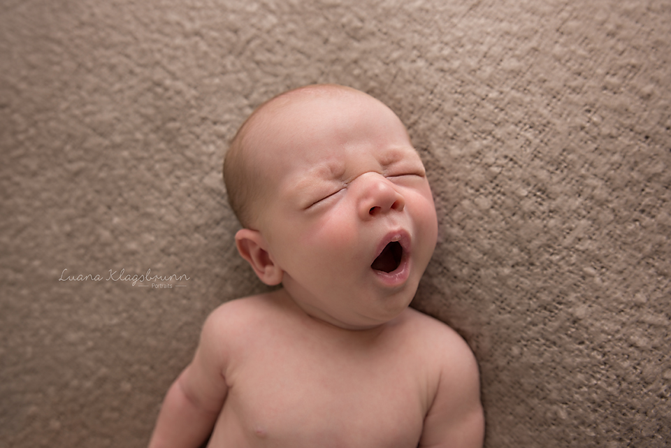 Baby Fotograf Karlsruhe - Luana Klagsbrunn Portraits