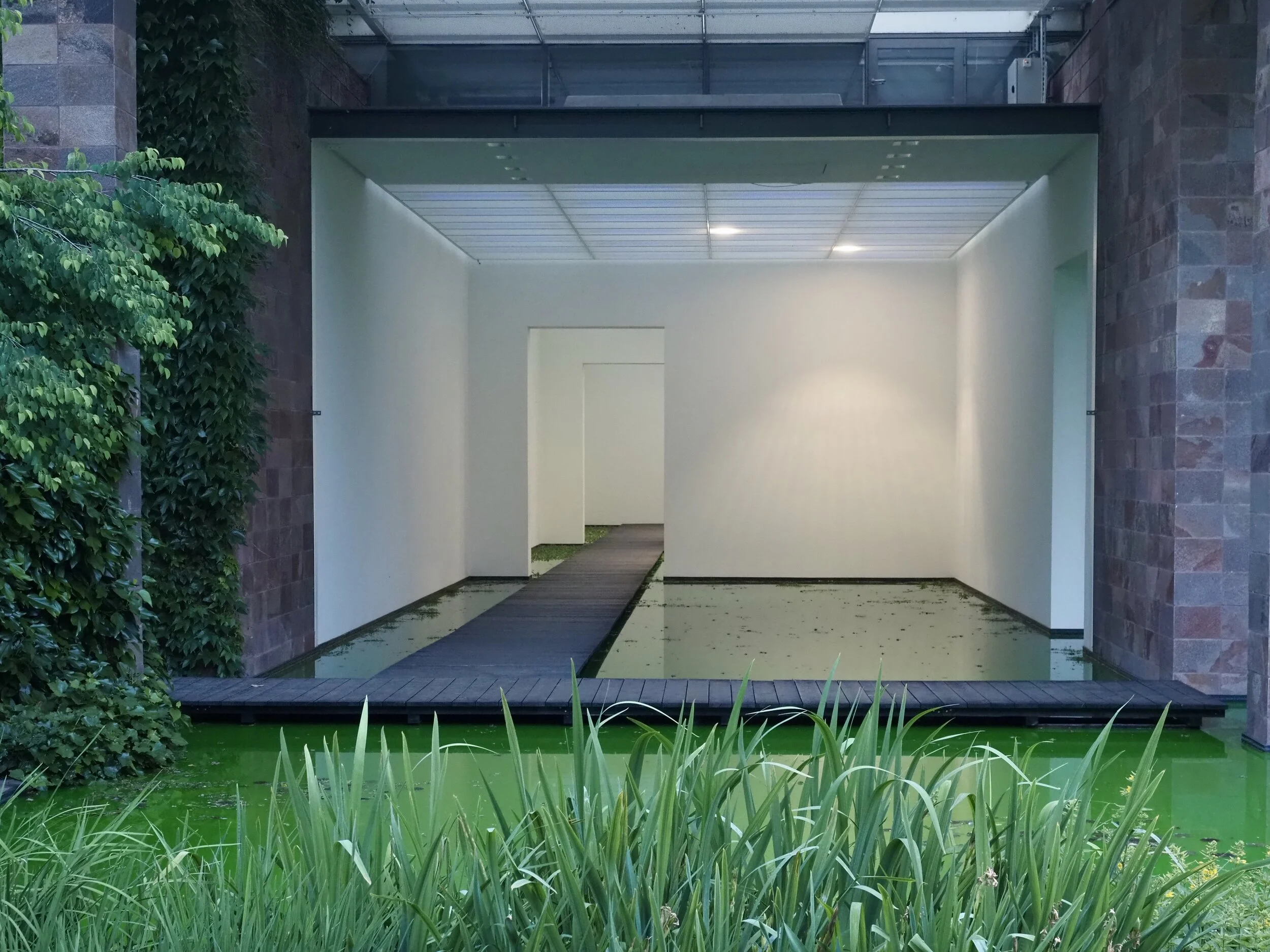 LIFE-Ausstellung von Olafur Eliasson, Morgenstimmung, Fondation Beyeler, Riehen CH