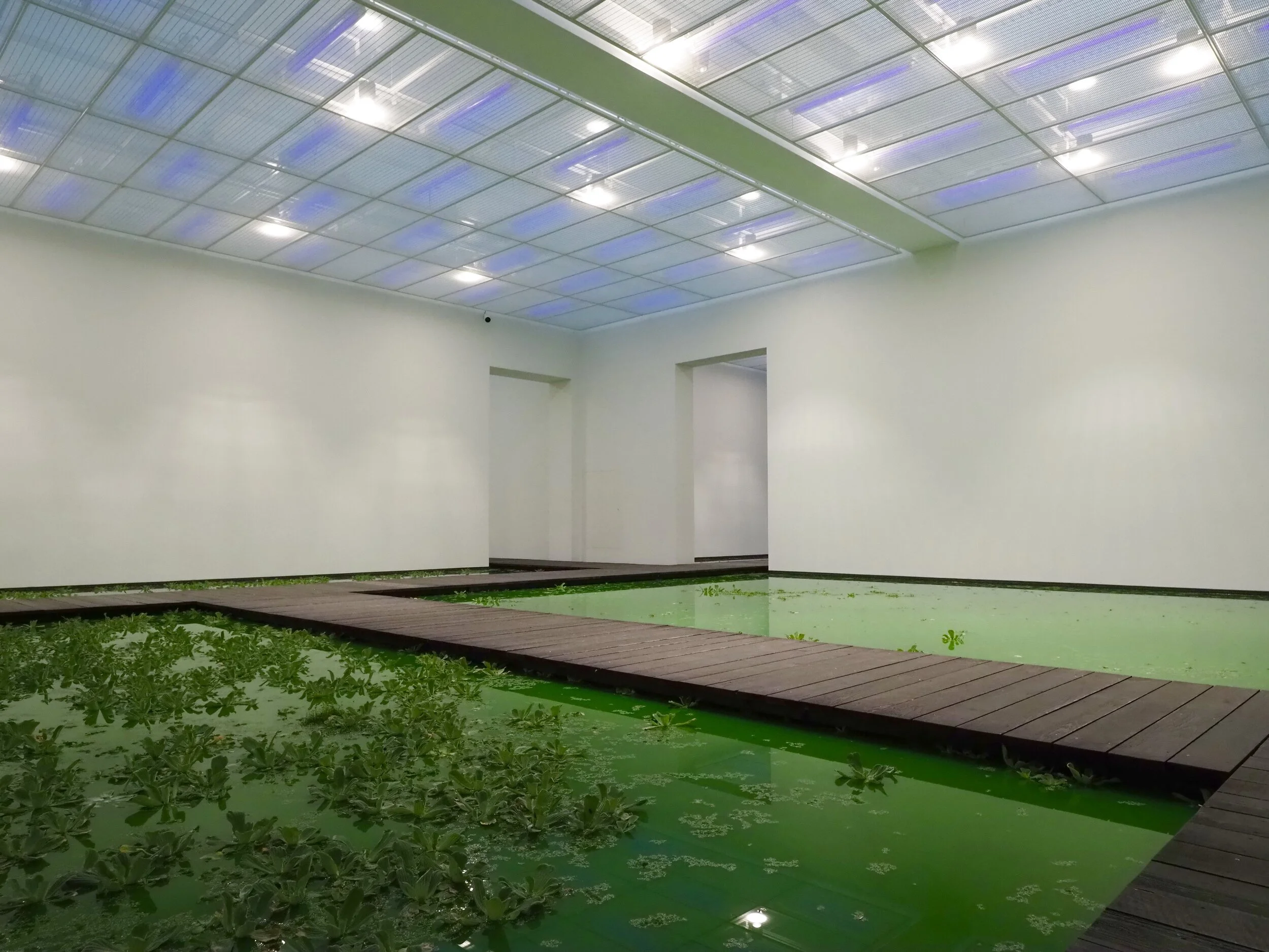 LIFE-Ausstellung von Olafur Eliasson, Fond. Beyeler, Riehen CH 