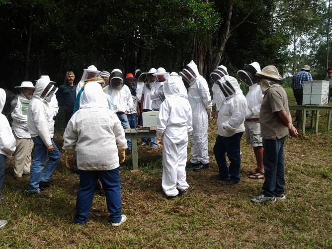 Circling the hive