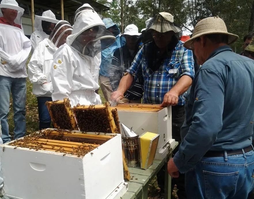 John and Don working on Merridy's hives