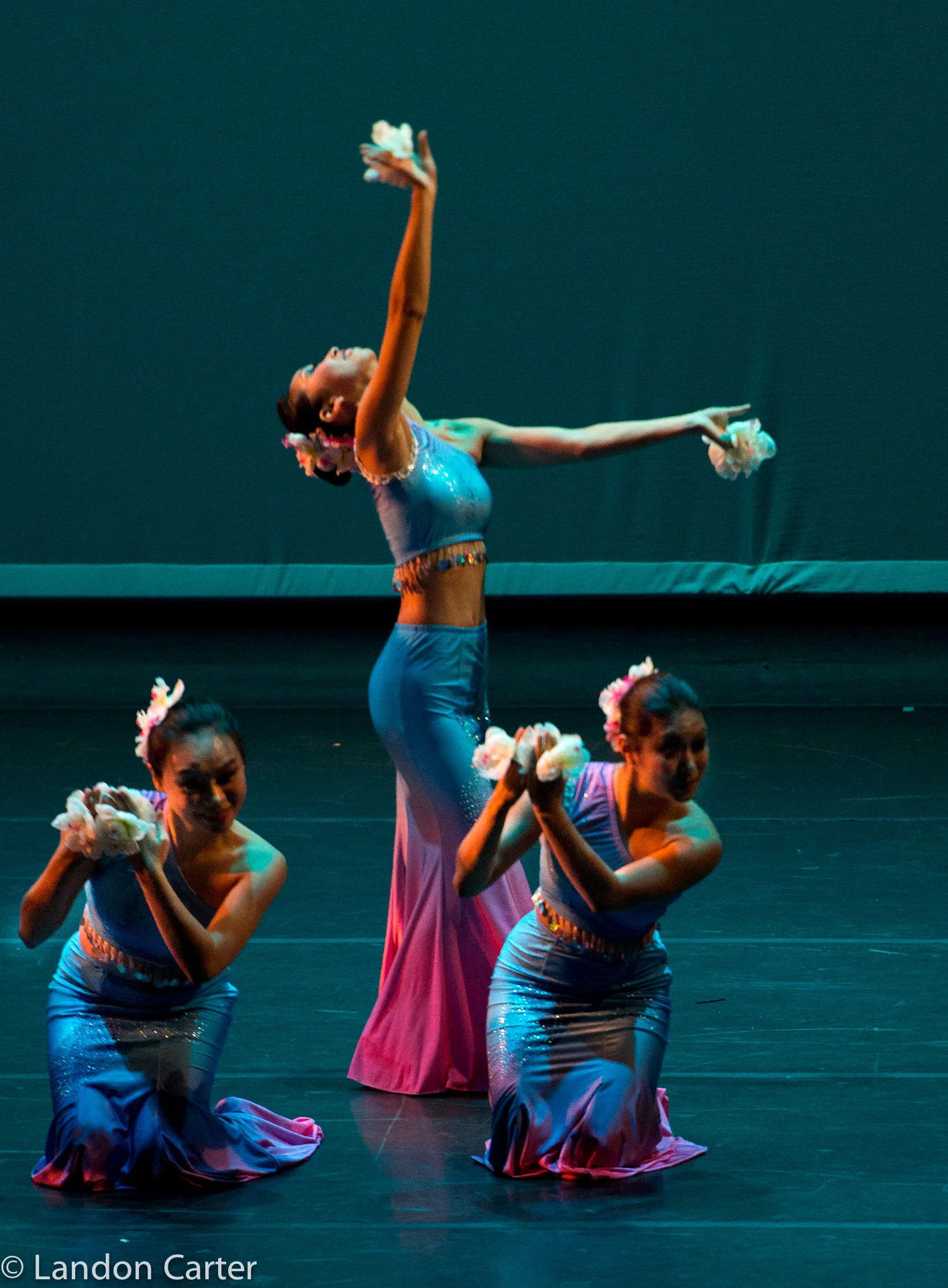 DSC_8146.jpg