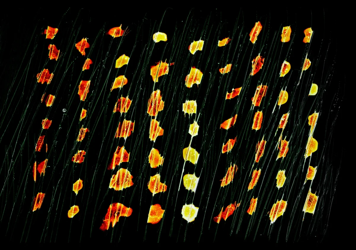 new works #8 (06/02/15) (mixed media)