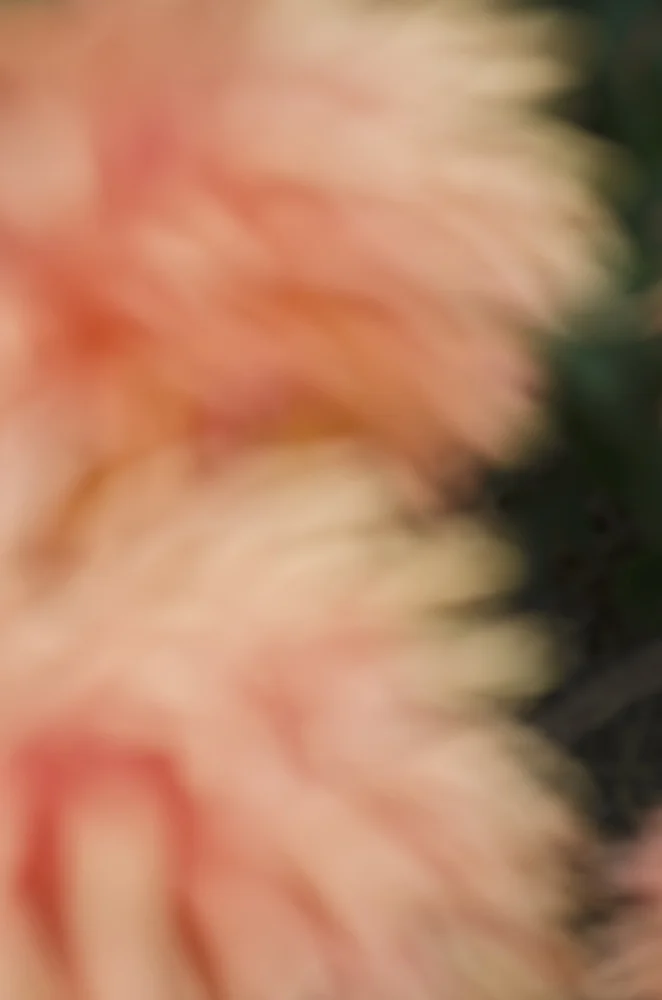 “Defocused #449” (photography)