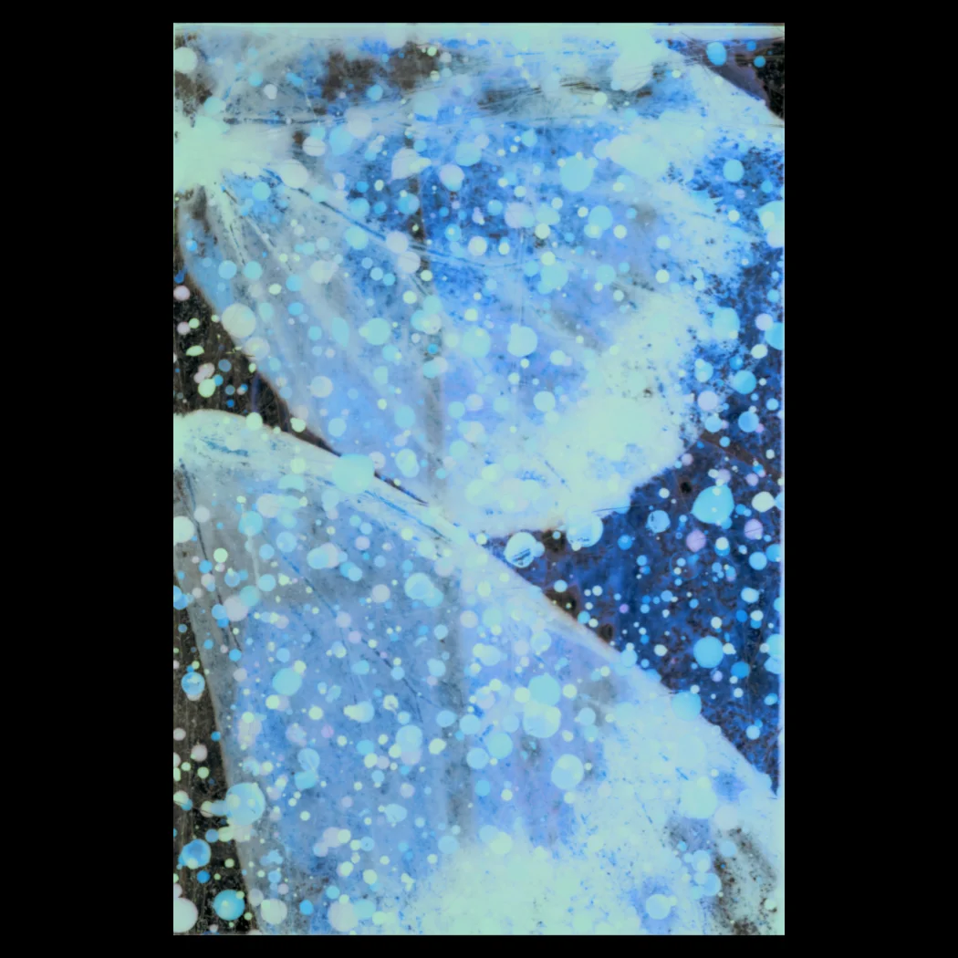 ‘Wings of flight #10 181016′ . Mixed media. (organic matter, ink, watercolour). Digital scan.