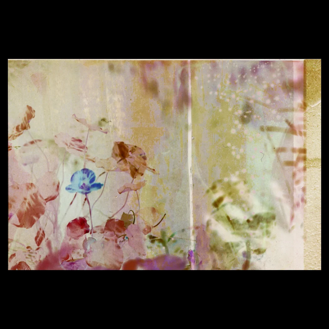 Double exposure. Shot #16 (negative version). Kathryn & Matthew. Film: AGFA CT Precisa 100 (soaked in Vodka and gifted by walter)