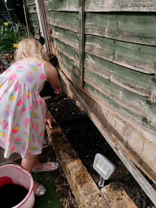 Ruby planting.jpeg