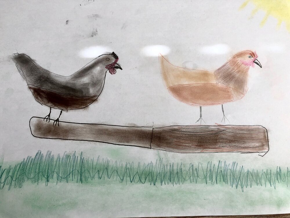 Violet chicken picture.jpeg