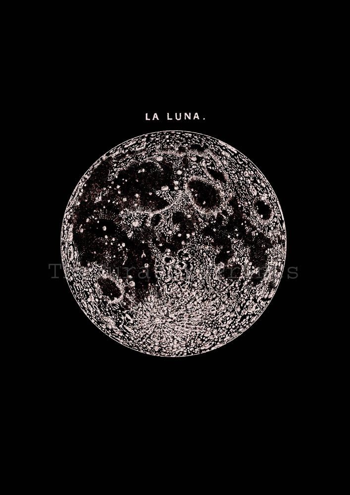 La Lune | KM DESIGN