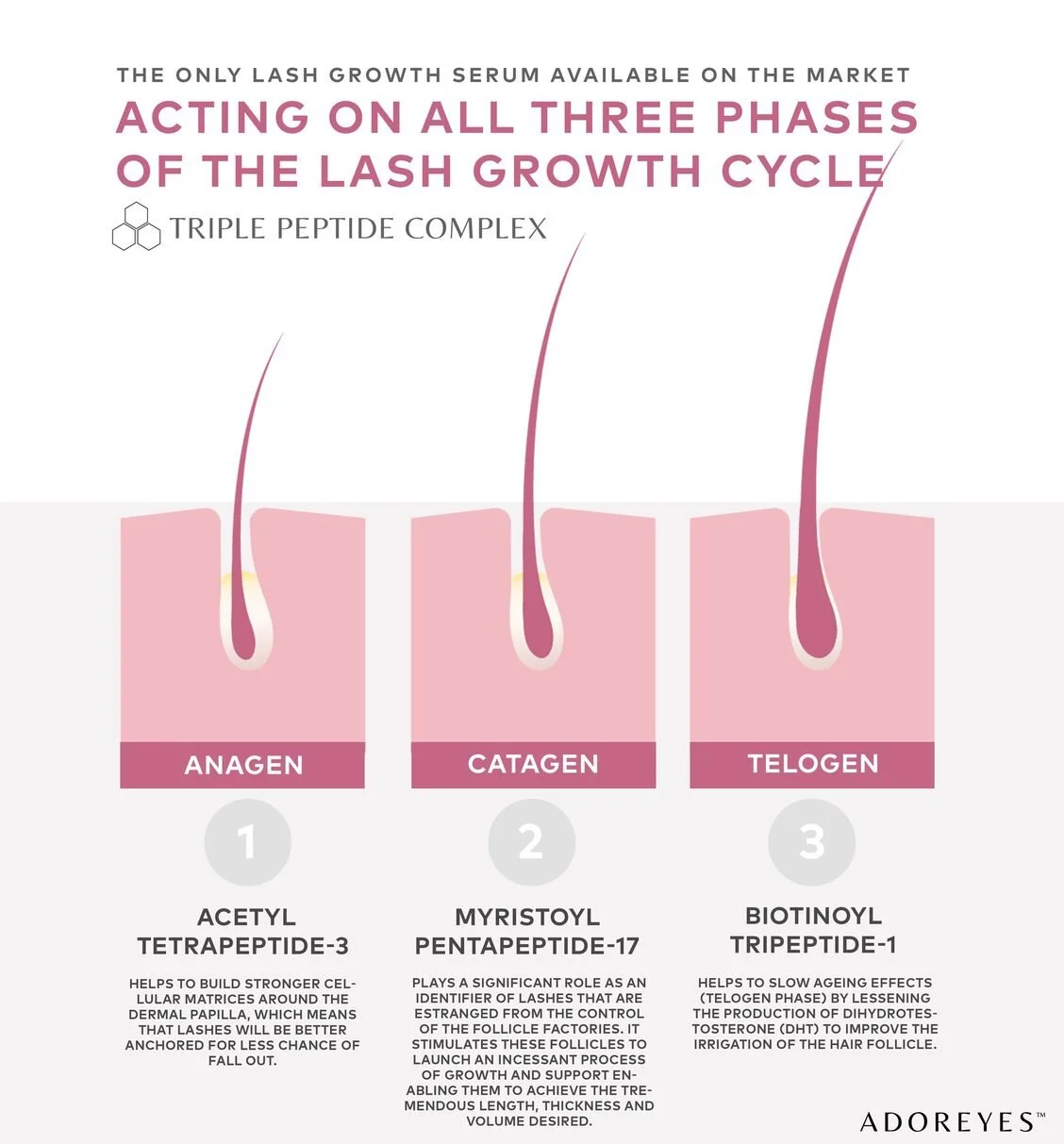 6F697B3A-A7E5-4DB6-B07E-B509708426B4