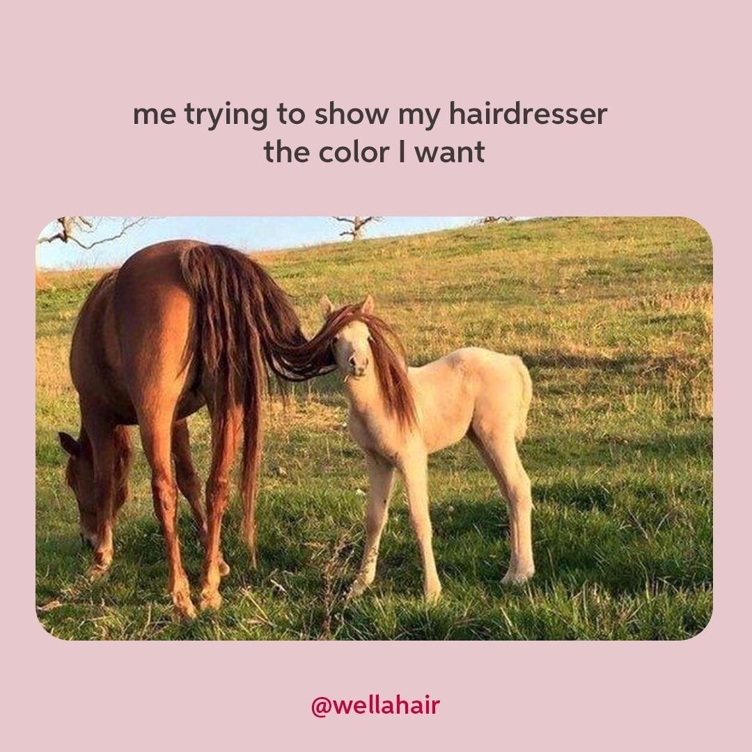 Tag that hairstylist who always UNDERSTANDS you 🤎