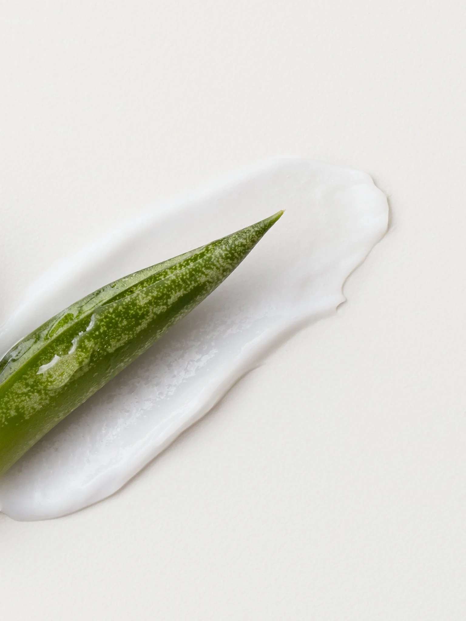 Aloe_FF_Conditioner_Ingredients.jpg