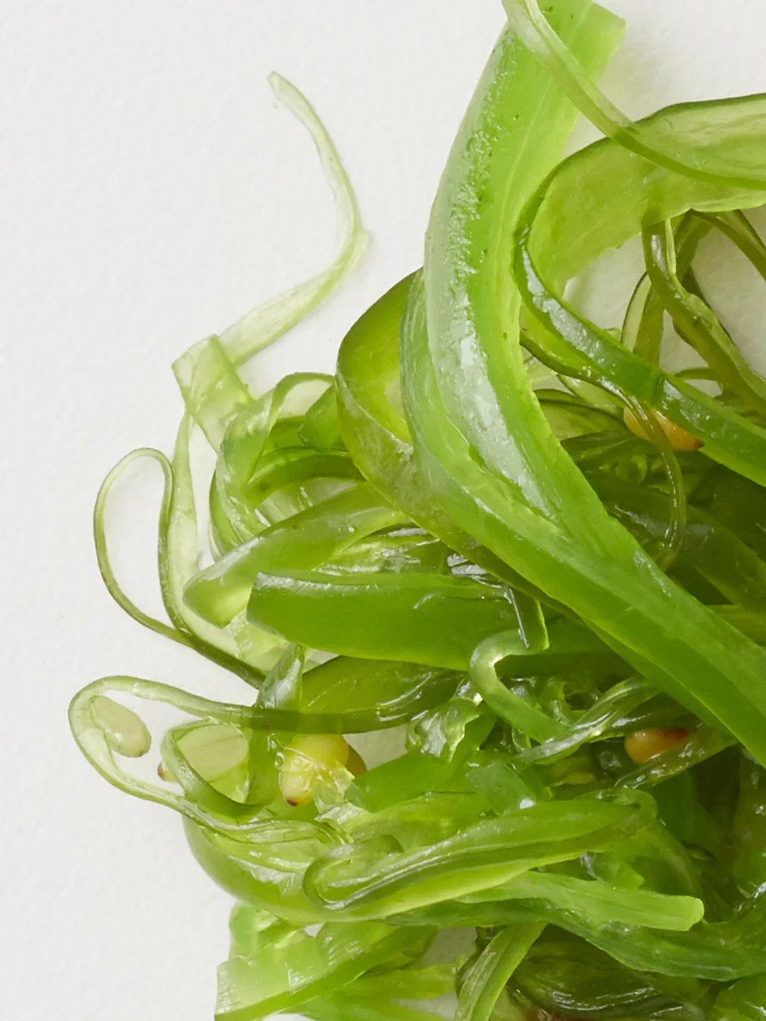 Seaweed_Ingredients_1dfa4de6-aa7e-479b-b8ed-982a3d2d1f4b_1100x.webp
