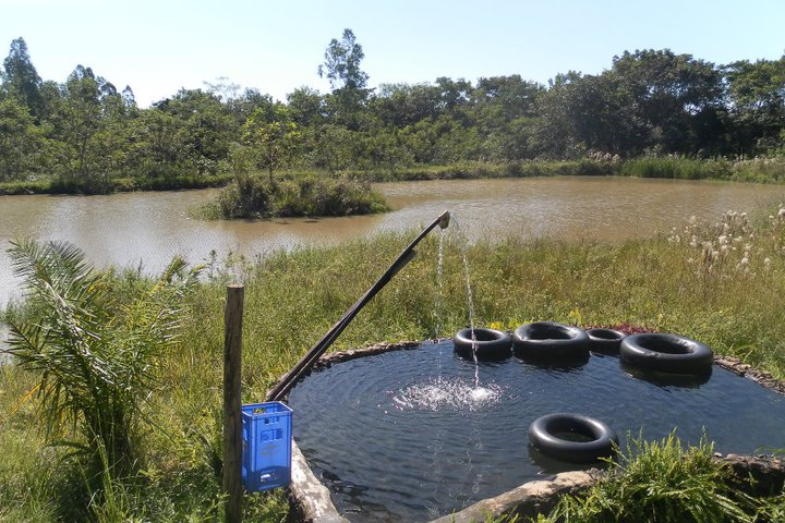 Farm Life. I am sure living on a farm does not involve sitting in rubber rings…or does it?