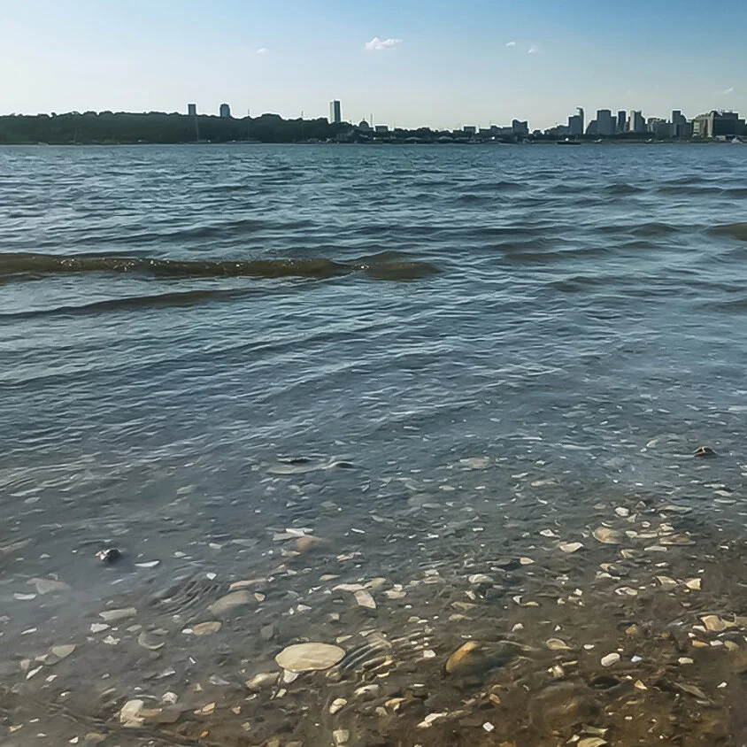 Claire O'Connor, Boston Harbor, 25th June 2020.jpeg