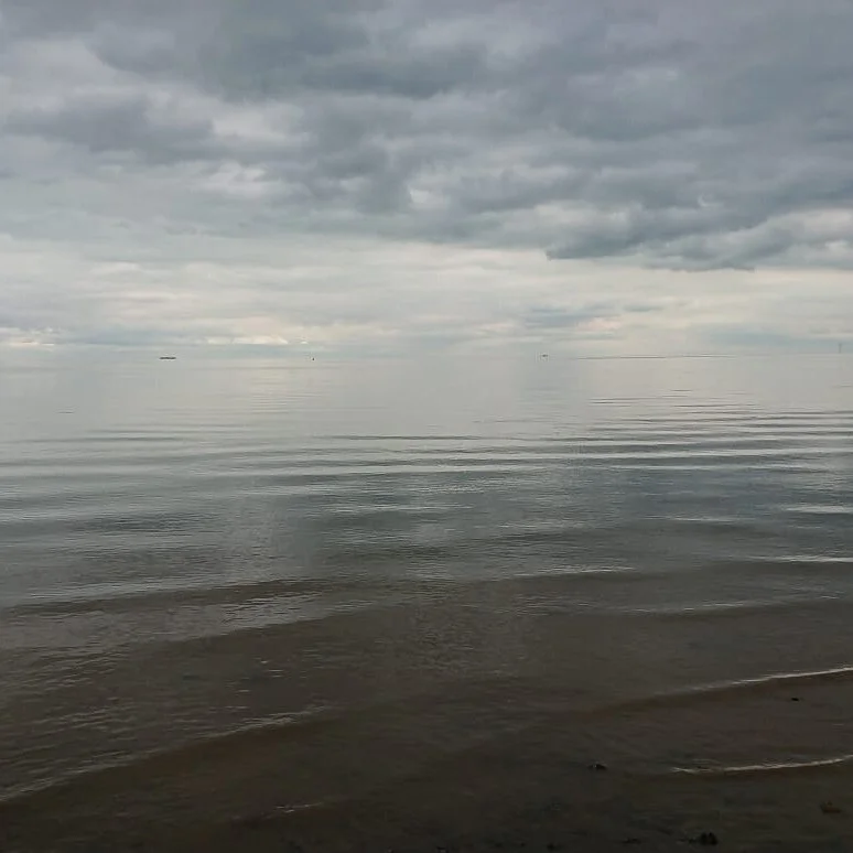 Dan Rawling, Whitstable, Kent, 15th July 2020.JPG